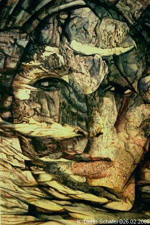 medusa